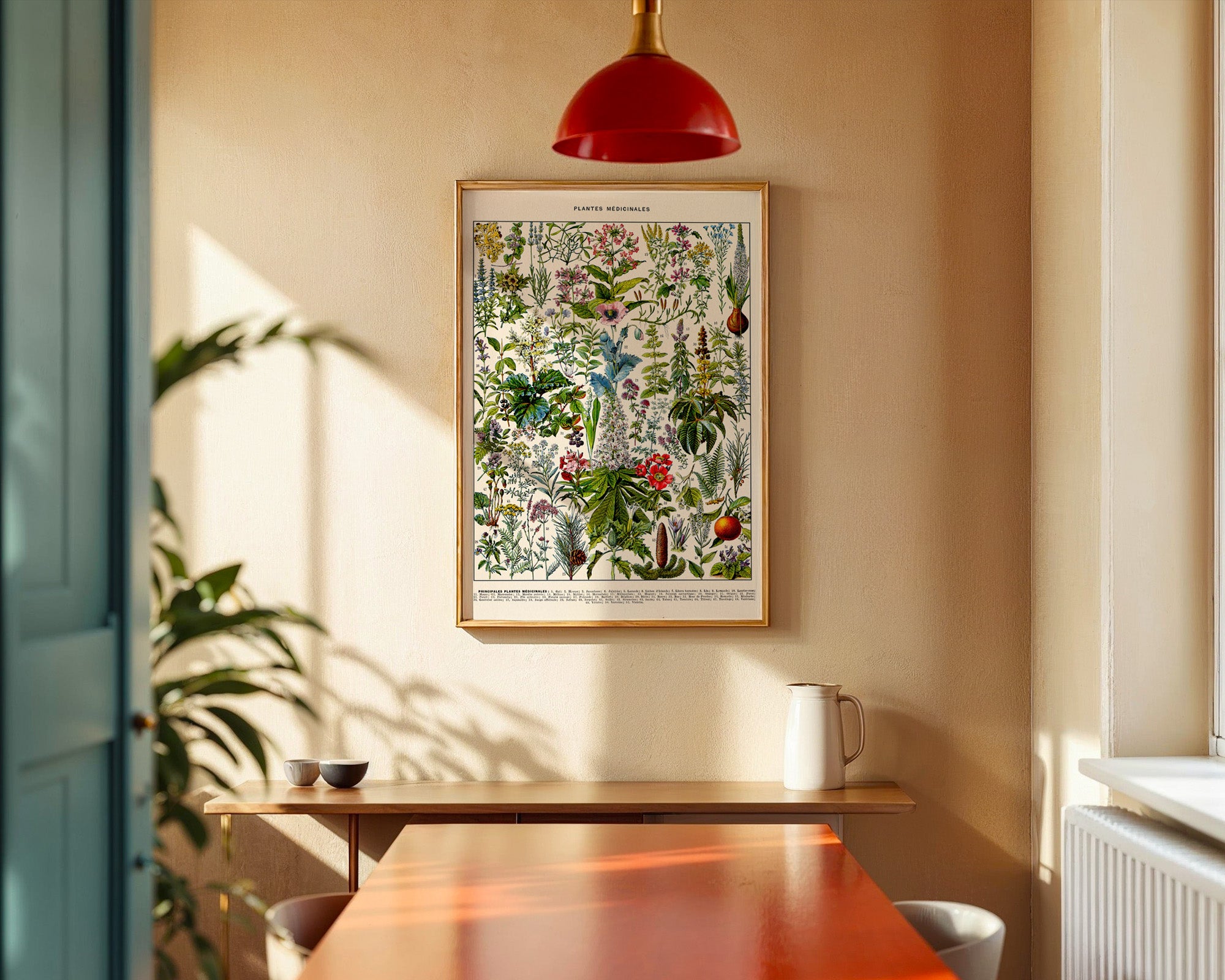 Botanisches Heilpflanzen Poster gerahmt im Wohnzimmer