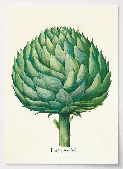 Botanisches Artischocken Poster in Grüntönen auf cremefarbenem Grund