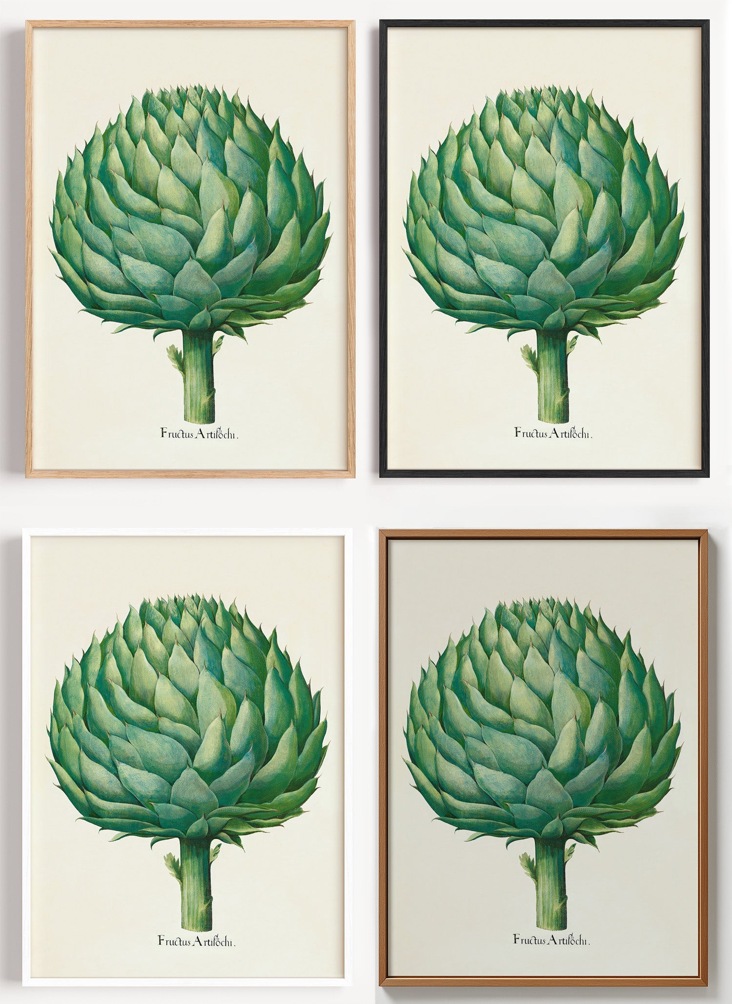 Botanisches Artischocken Poster als Wandbild auf Papier oder Leinwand