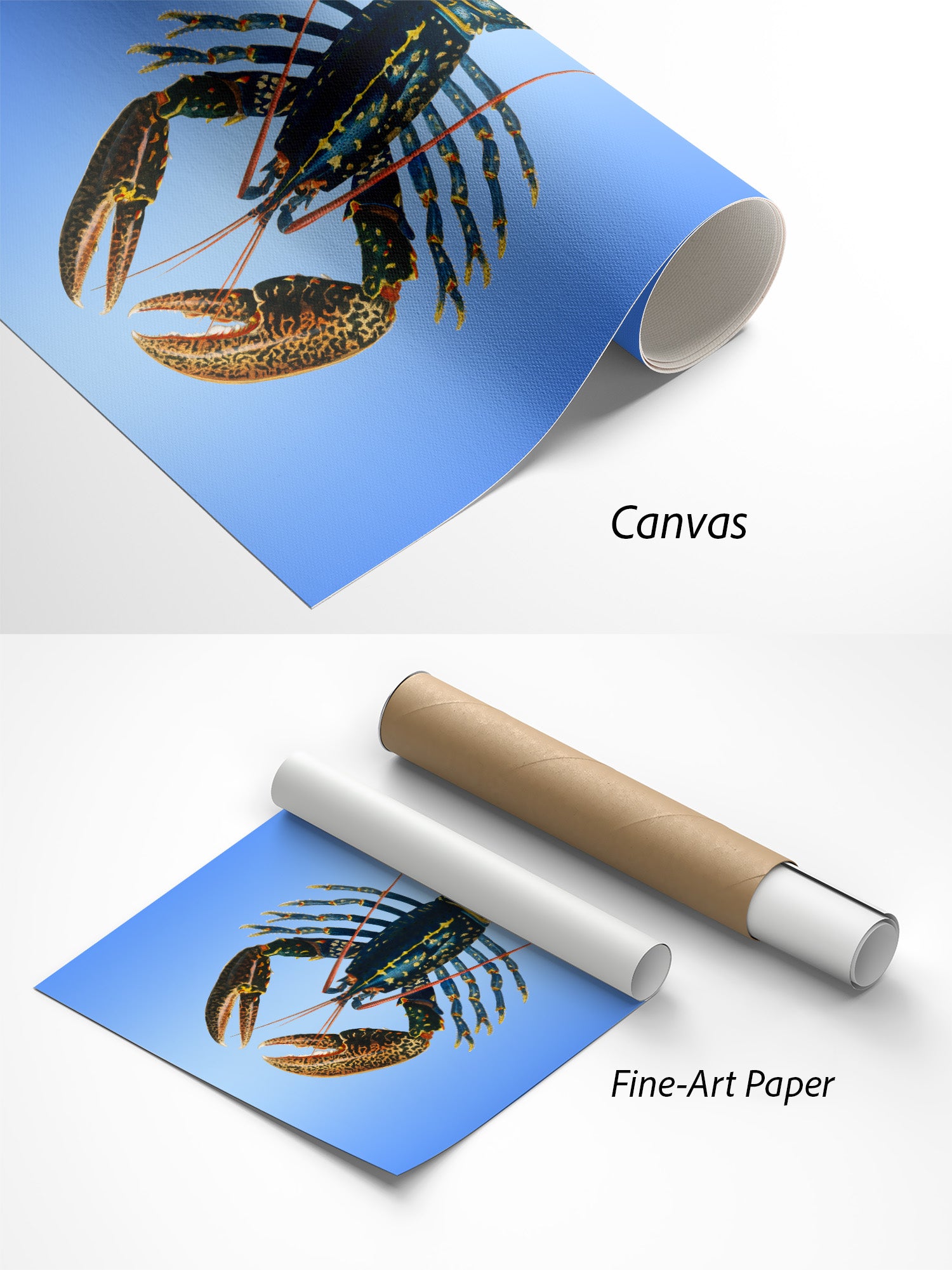 Blauer Hummer Poster auf Canvas und Fine-Art-Papier im Materialvergleich