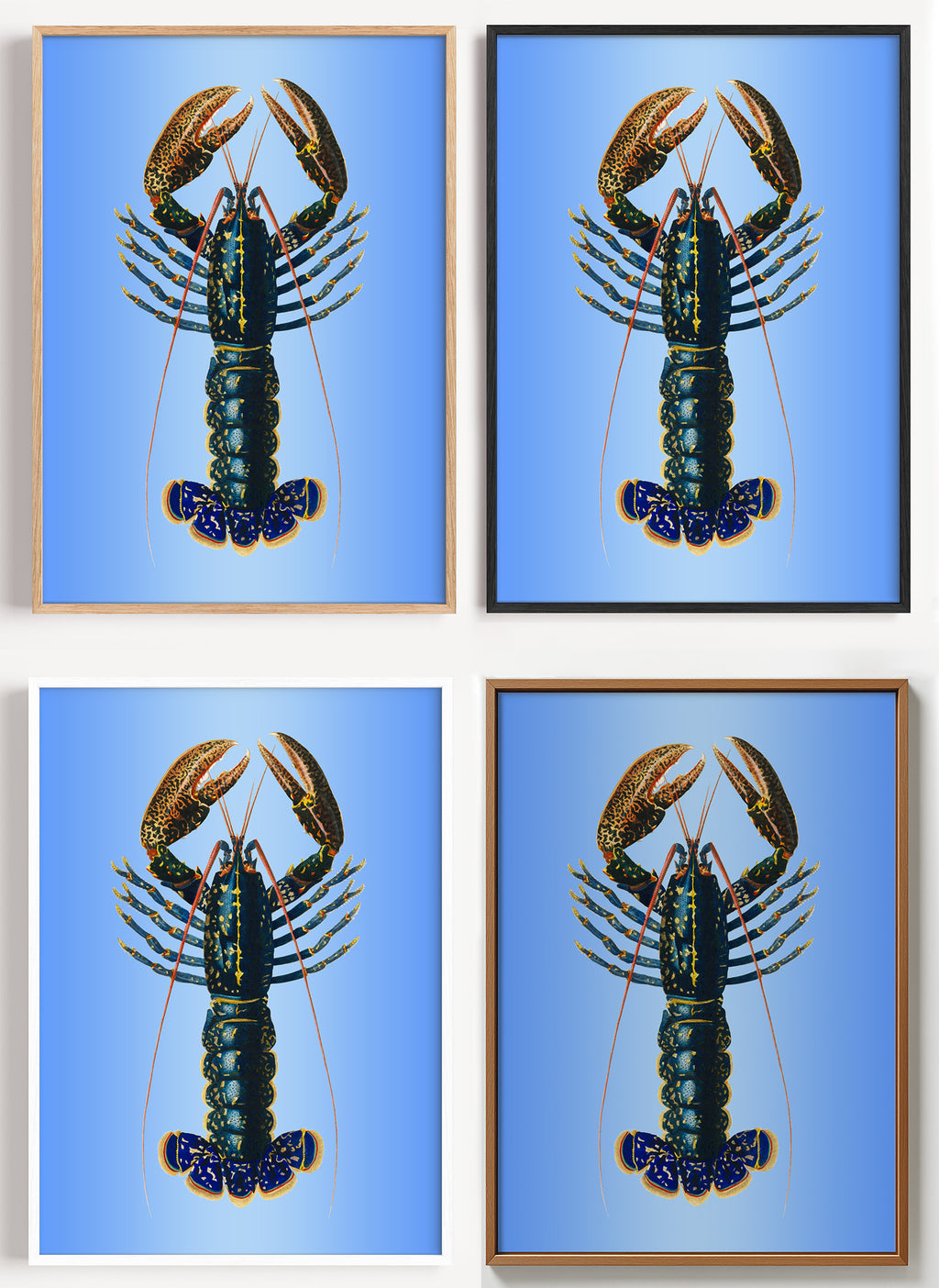 Hummer Poster maritim als Wandbild auf Papier oder Leinwand
