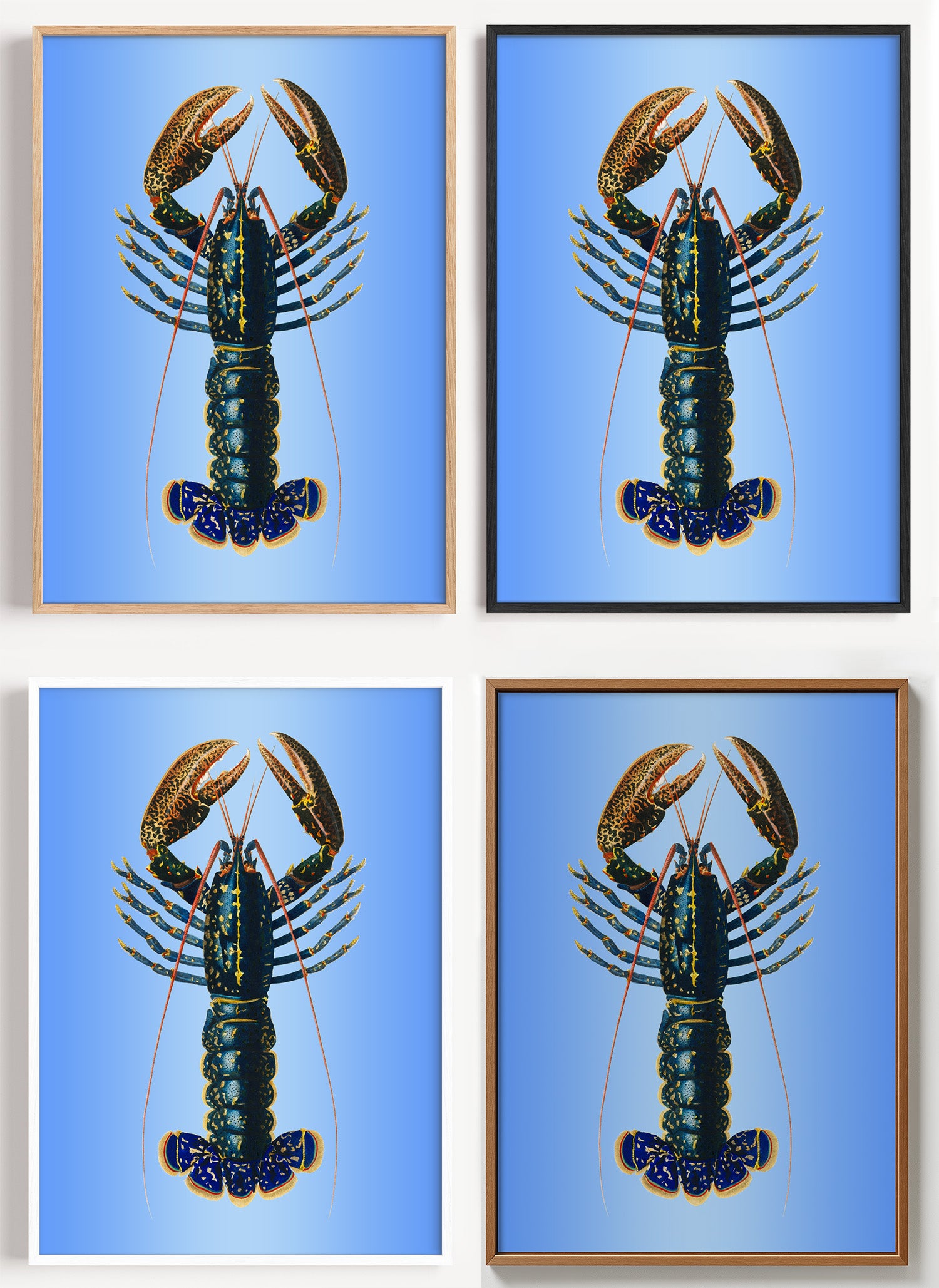 Hummer Poster maritim als Wandbild auf Papier oder Leinwand