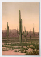 Botanisches Poster mit Saguaro-Kaktus aus der Arizona-Wüste