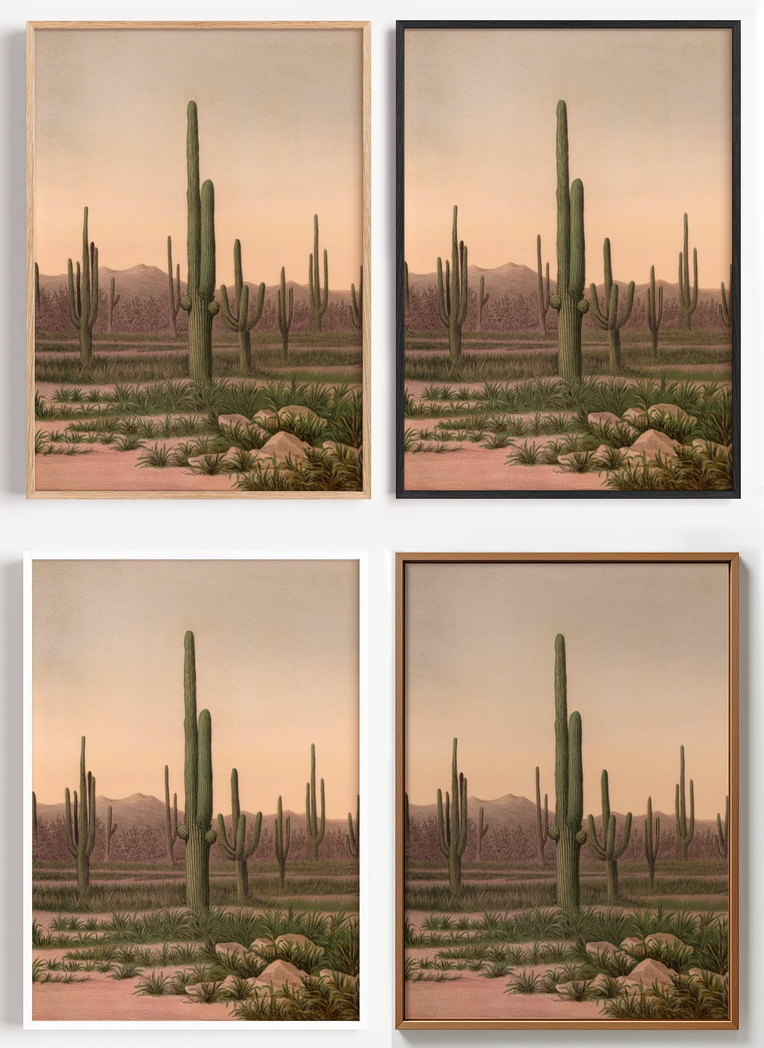 Botanisches Kaktus Poster als Wandbild auf Papier oder Leinwand