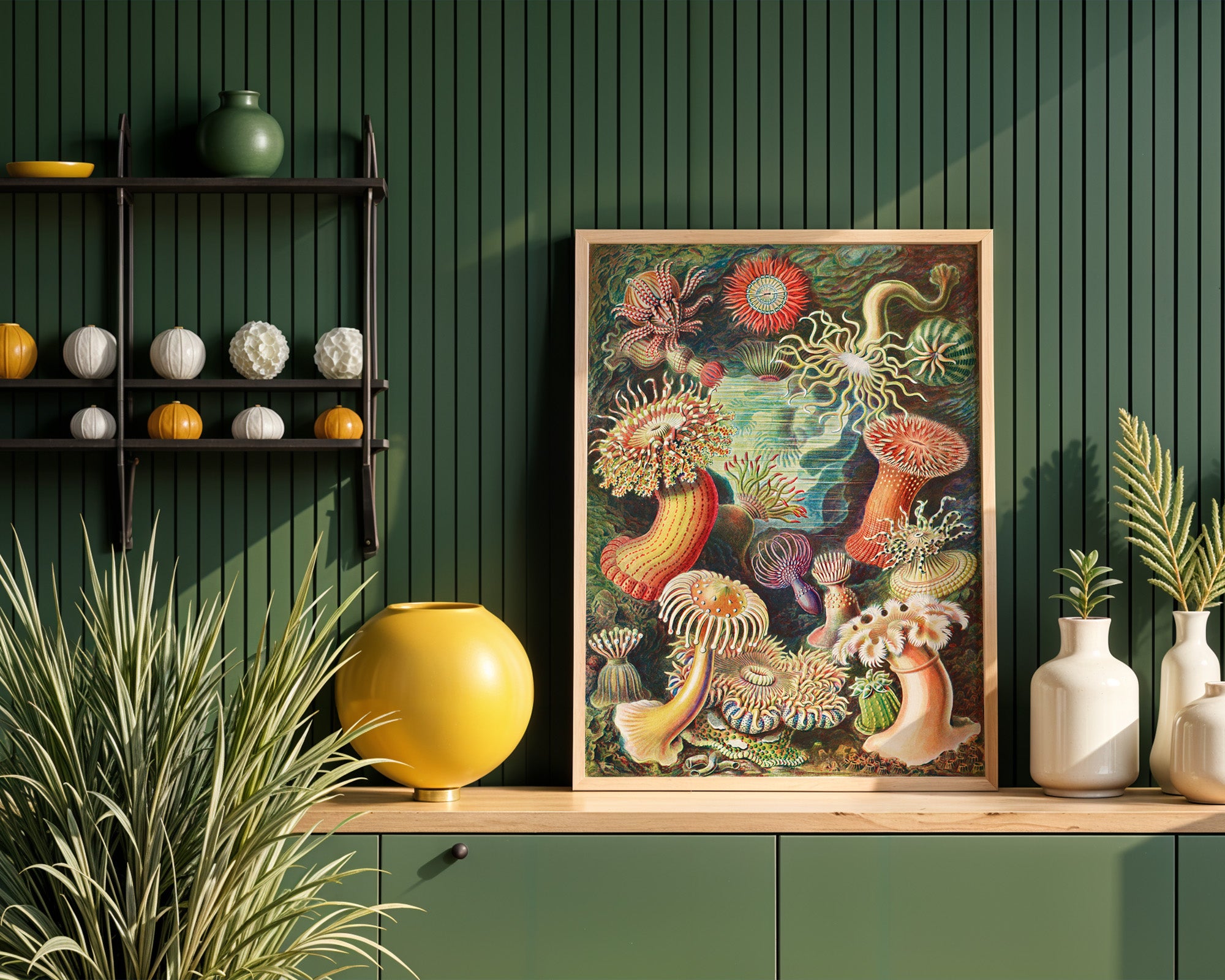 Ernst Haeckel Seeanemonen Poster gerahmt im Wohnzimmer