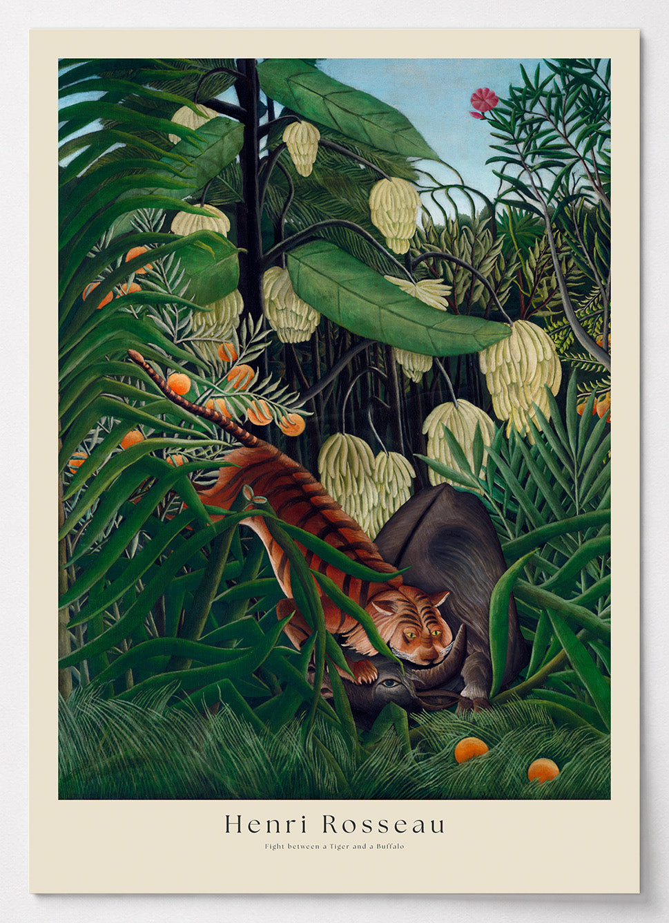 Henri Rousseau Poster mit Tiger und Büffel im Dschungel