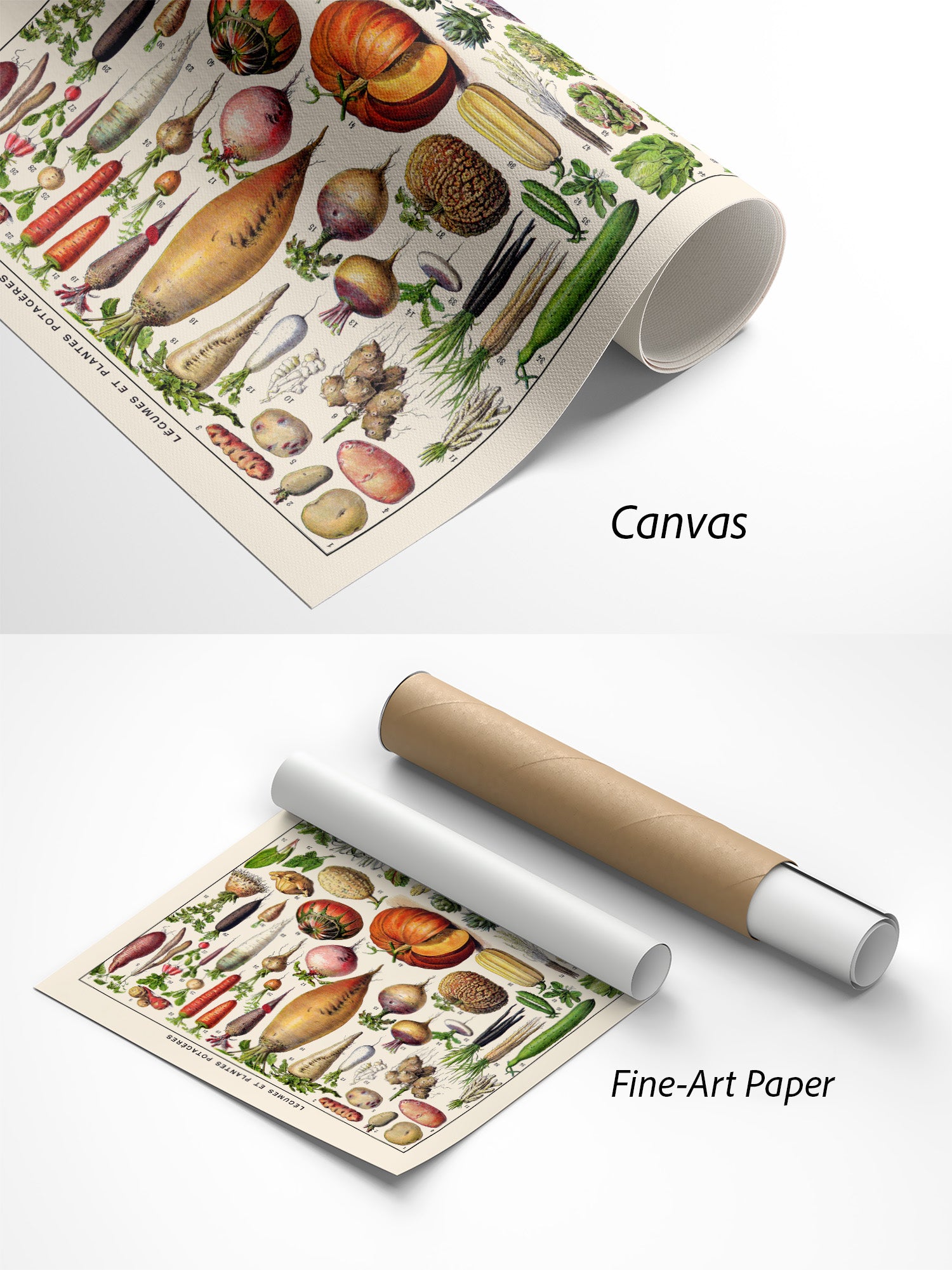 Légumes et Plantes Gemüse Poster auf Canvas und Fine-Art-Papier im Materialvergleich