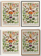 Botanisches Gemüse Poster als Wandbild auf Papier oder Leinwand