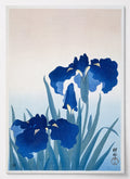 Japanisches Poster mit blauen Schwertlilien von Ohara Koson