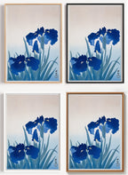 Ohara Koson Iris Poster als Wandbild auf Papier oder Leinwand
