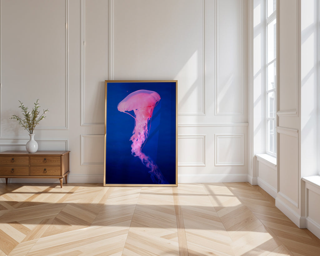 Quallen Poster gerahmt im Schlafzimmer