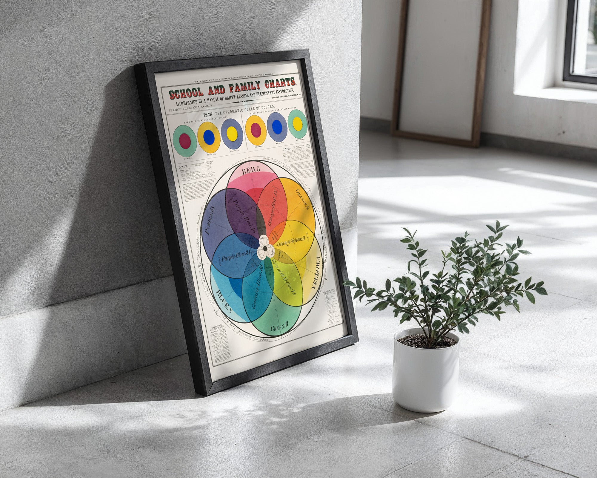 School and Family Charts - Color Theory