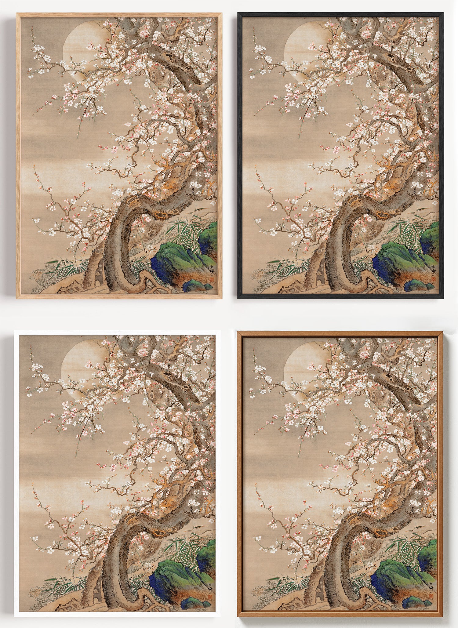 Japanisches Pflaumenblüten Poster als Wandbild auf Papier oder Leinwand