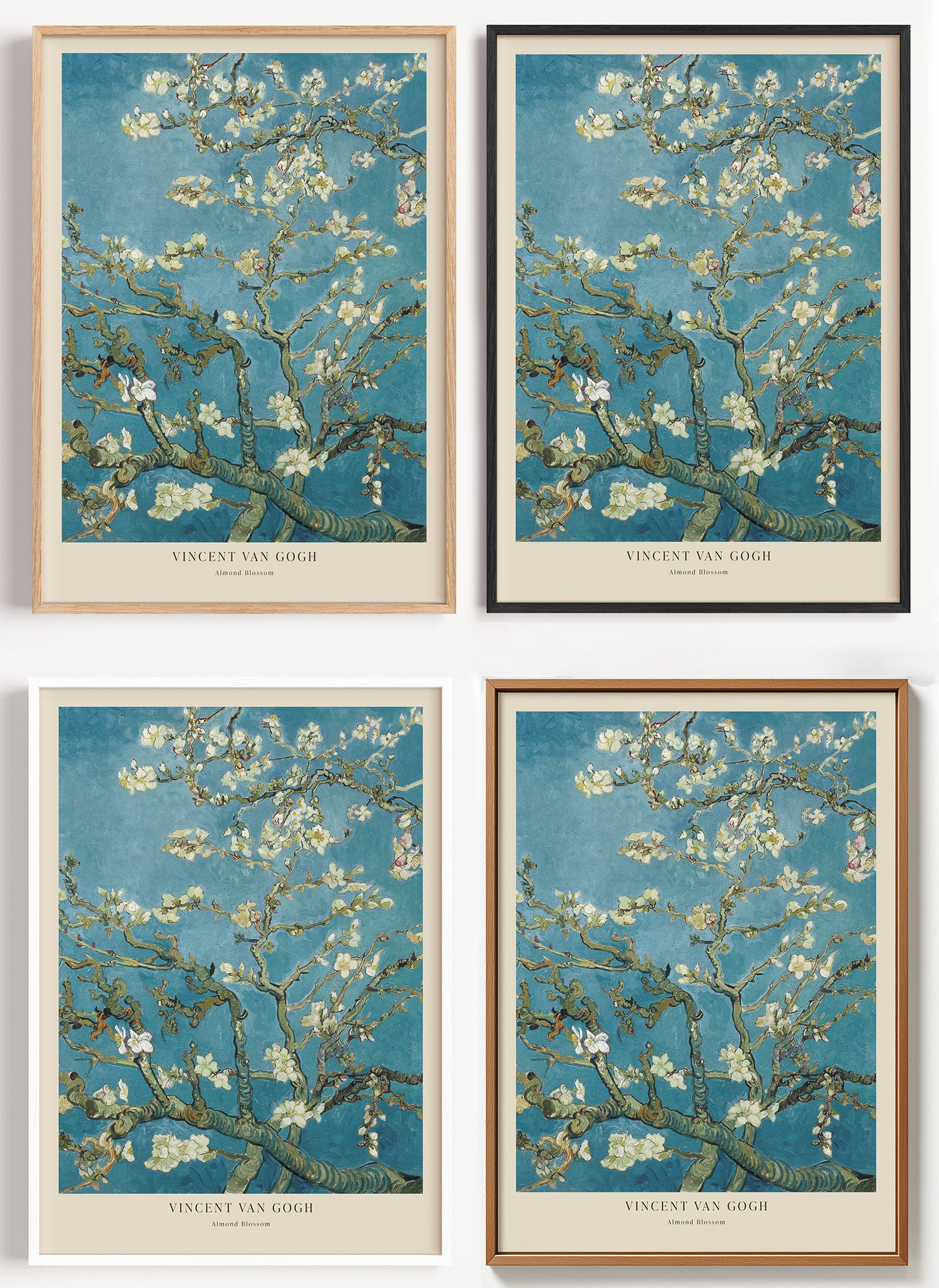 Van Gogh Mandelblüten Poster als Wandbild auf Papier oder Leinwand